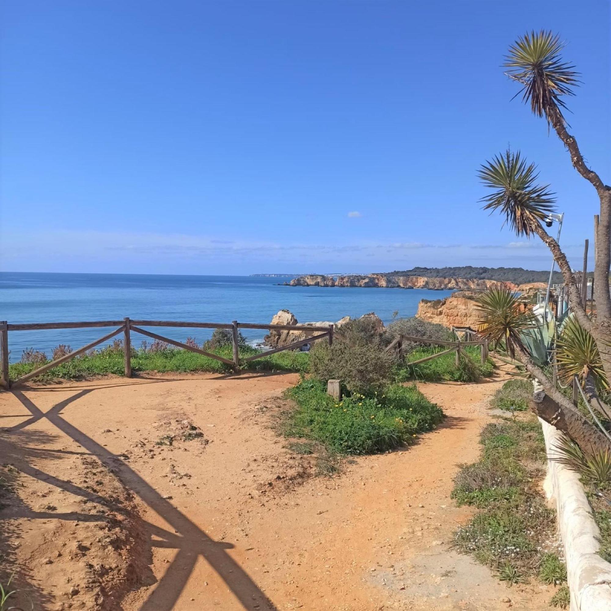 Vau Serenity Apartamento